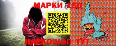 стафф Дубна