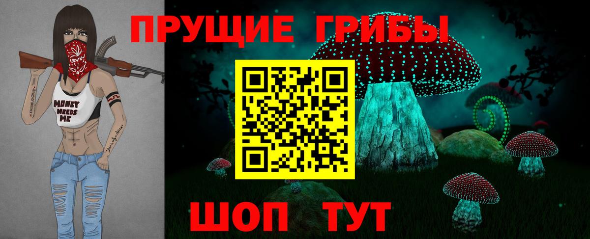 Нововоронеж  где купить наркоту  Вход с VPN  Галлюциногенные грибы MAGIC MUSHROOMS 